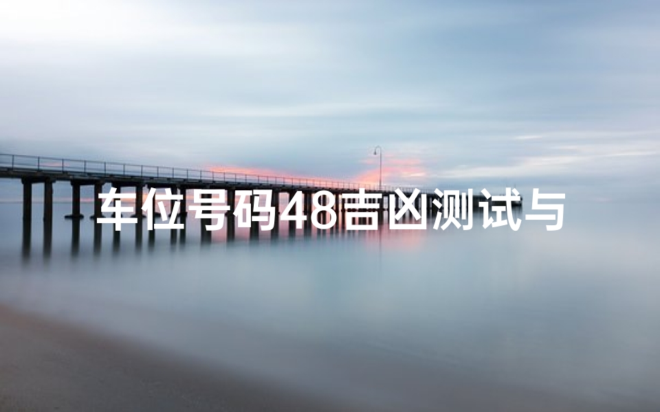 车位号码48吉凶测试与选择策略-算卦网