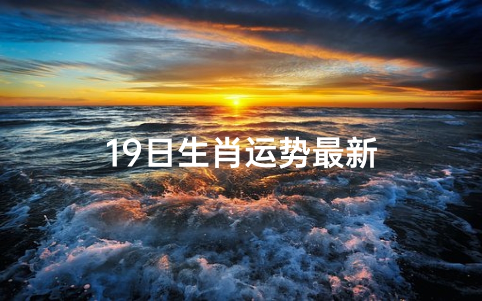 19日生肖运势最新