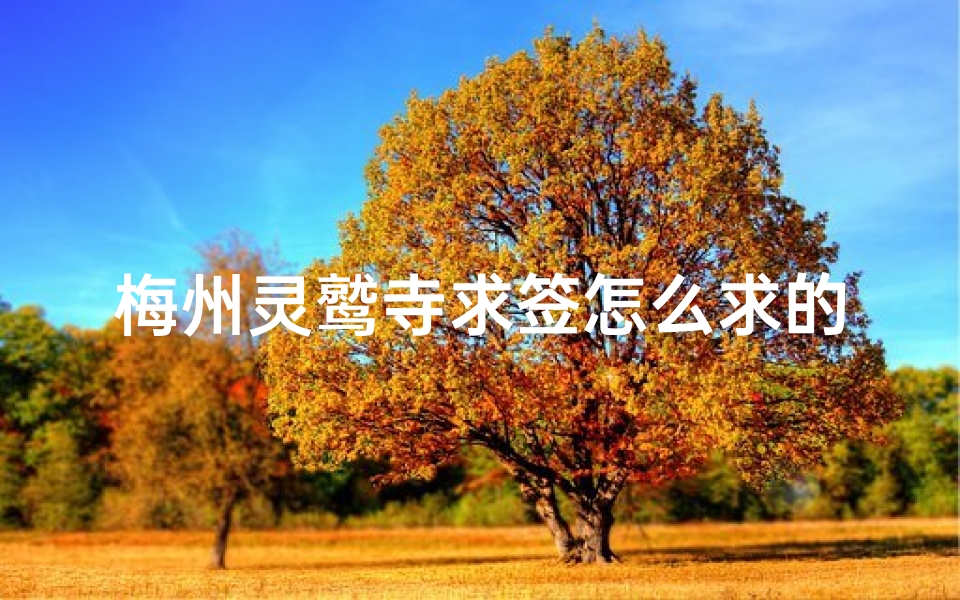 梅州灵鹫寺求签怎么求的(杭州法喜寺旅游攻略)-算卦网