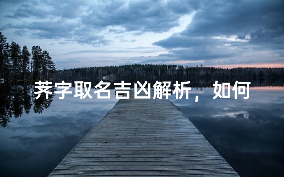荠字取名吉凶解析,如何判断名字的吉祥寓意-算卦网