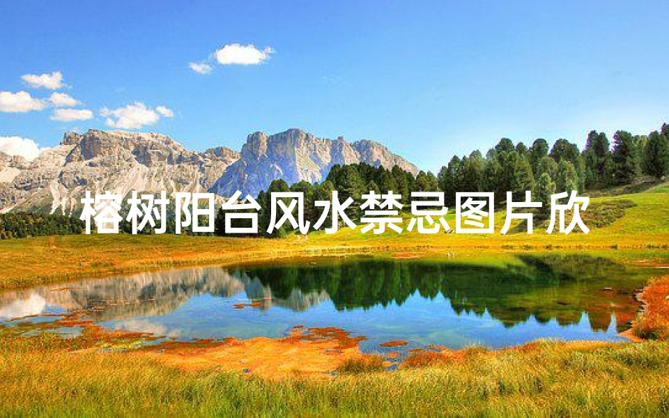 榕树阳台风水禁忌图片欣赏(榕树的风水禁忌,榕树不容人 迷信说法 )-算卦网