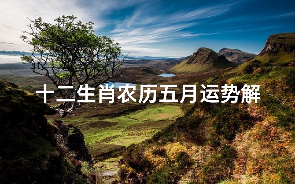 十二生肖农历五月运势解析,2024年事业财运情感全预测
