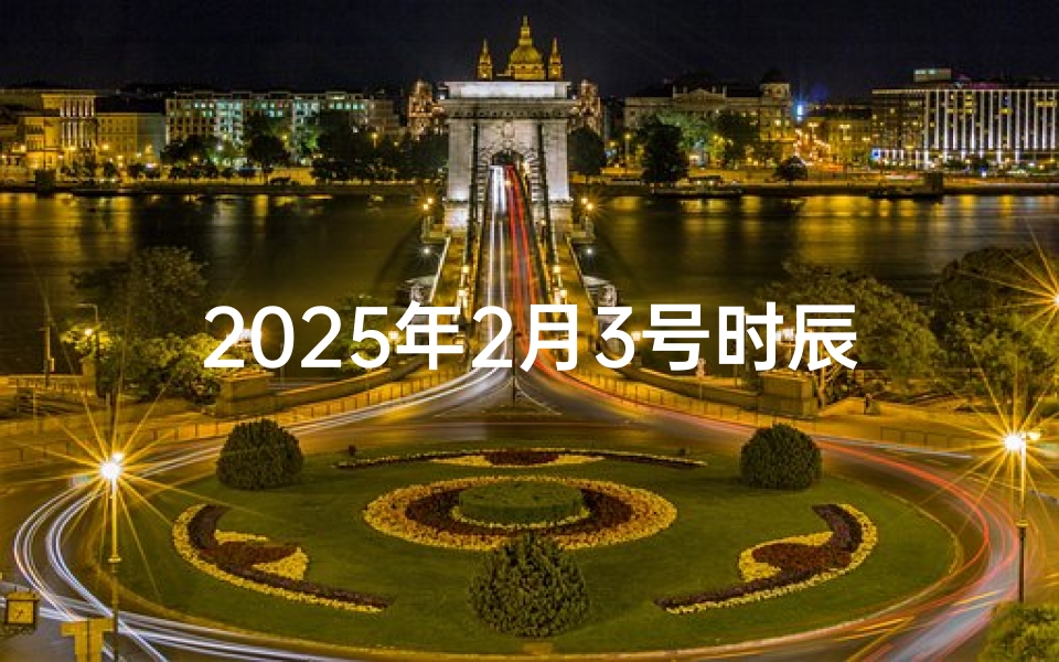 2025年2月3号时辰吉凶表-《2025年2月3日时辰吉凶详析表》-算卦网