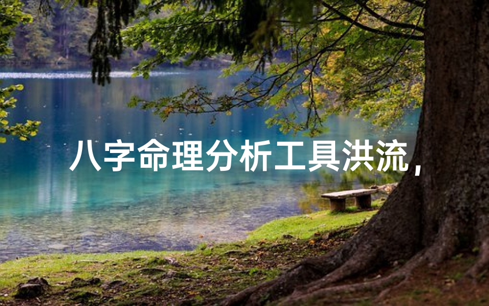 八字命理分析工具洪流，科技与玄学的碰撞如何改变传统命理行业