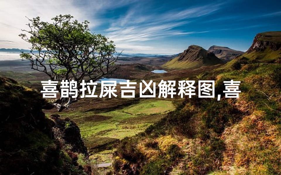 喜鹊拉屎吉凶解释图,喜鹊拉的屎-算卦网