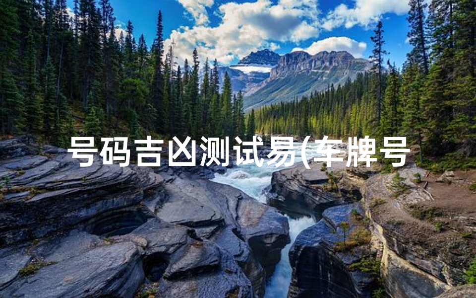 号码吉凶测试易(车牌号码测吉凶方法)-算卦网