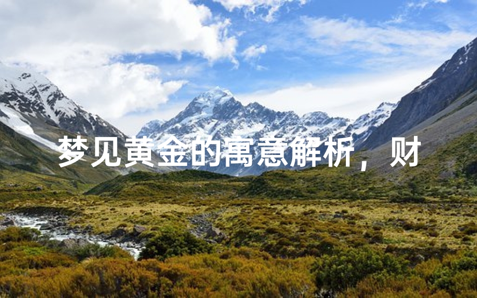 梦见黄金的寓意解析,财富象征与潜在心理暗示
