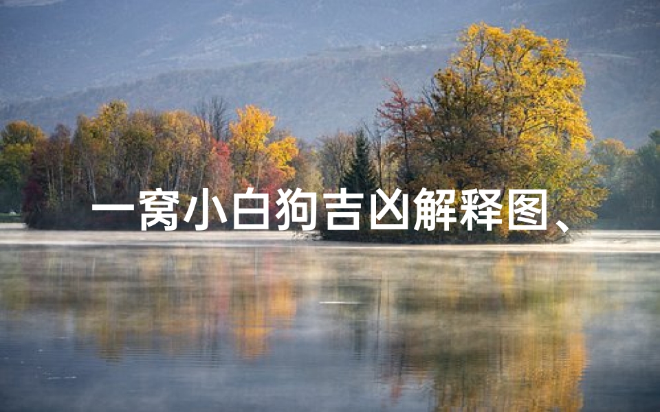 一窝小白狗吉凶解释图、一窝小土狗图片-算卦网