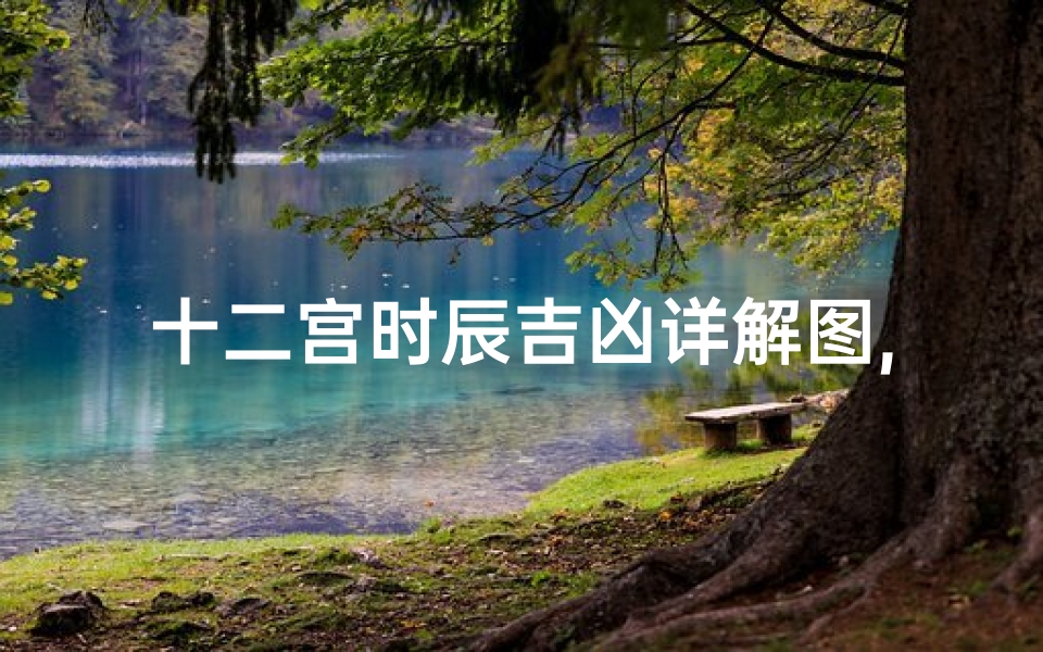 十二宫时辰吉凶详解图,《十二宫时辰吉凶详析图解秘籍》-算卦网