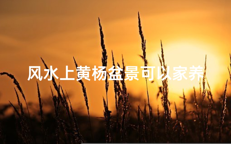 风水上黄杨盆景可以家养吗(黄杨盆景风水宜家养,家居绿意盎然)-算卦网