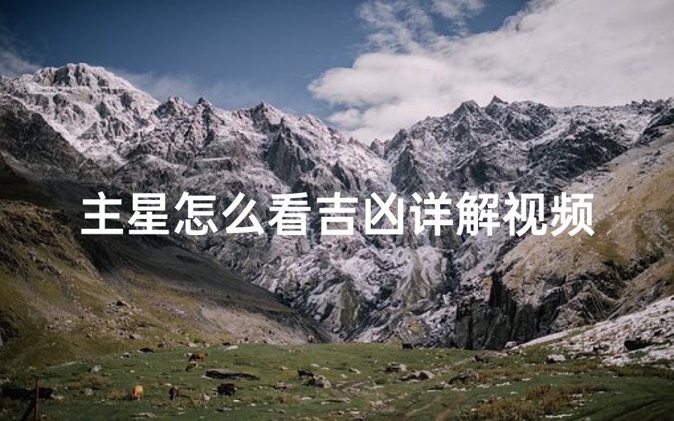 主星怎么看吉凶详解视频(主命星怎么看)-算卦网