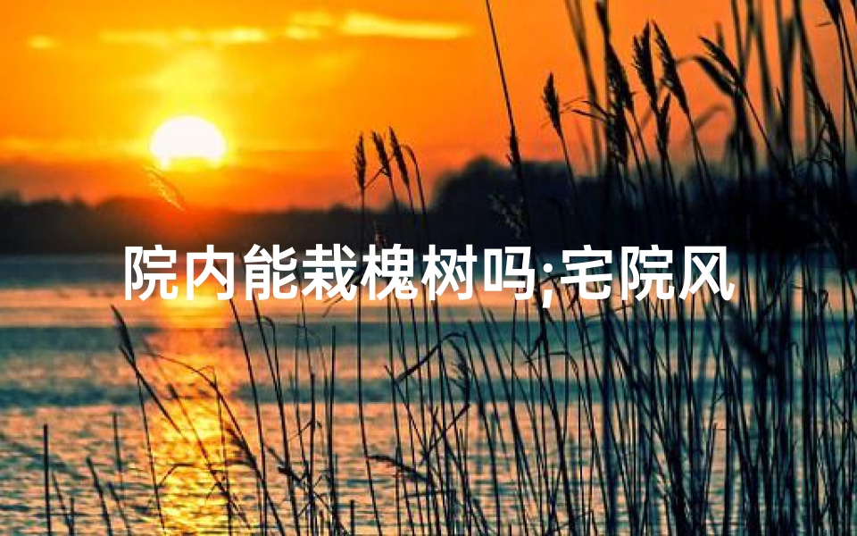 院内能栽槐树吗;宅院风水揭秘：槐树种植禁忌与吉祥之道