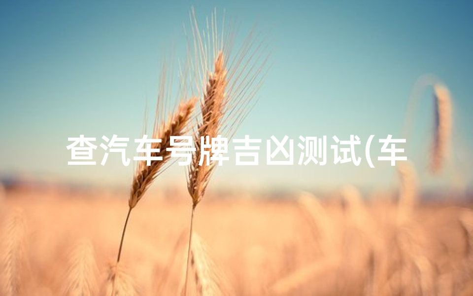 查汽车号牌吉凶测试(车辆号牌测吉凶)-算卦网