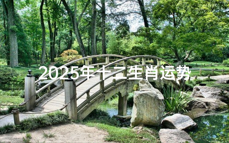 2025年十二生肖运势全解析,吉凶方位与转运指南