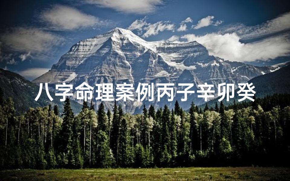 八字命理案例丙子辛卯癸丑-丙子辛丑壬子癸卯