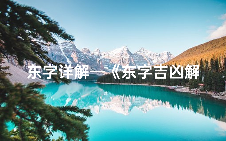 东字详解—《东字吉凶解析:探寻美好寓意与智慧之光》