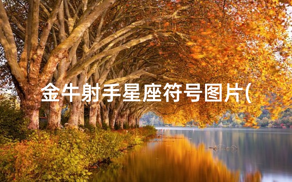 金牛射手星座符号图片(谁有一套漂亮的88星座符号图)-算卦网