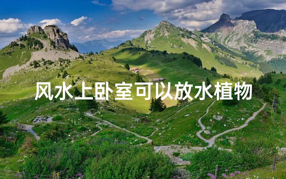 风水上卧室可以放水植物吗;卧室能不能放植物?-算卦网