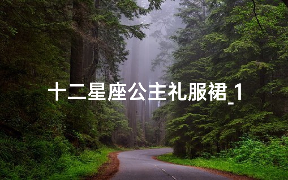 十二星座公主礼服裙_1