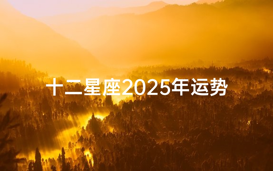 十二星座2025年运势_1