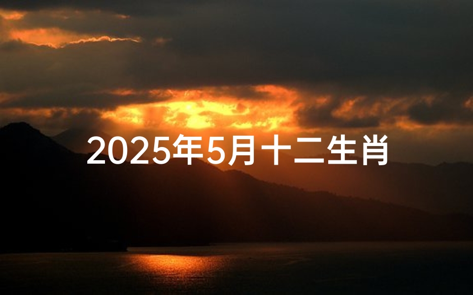 2025年5月十二生肖运程解析，事业、财运、感情全方位预测