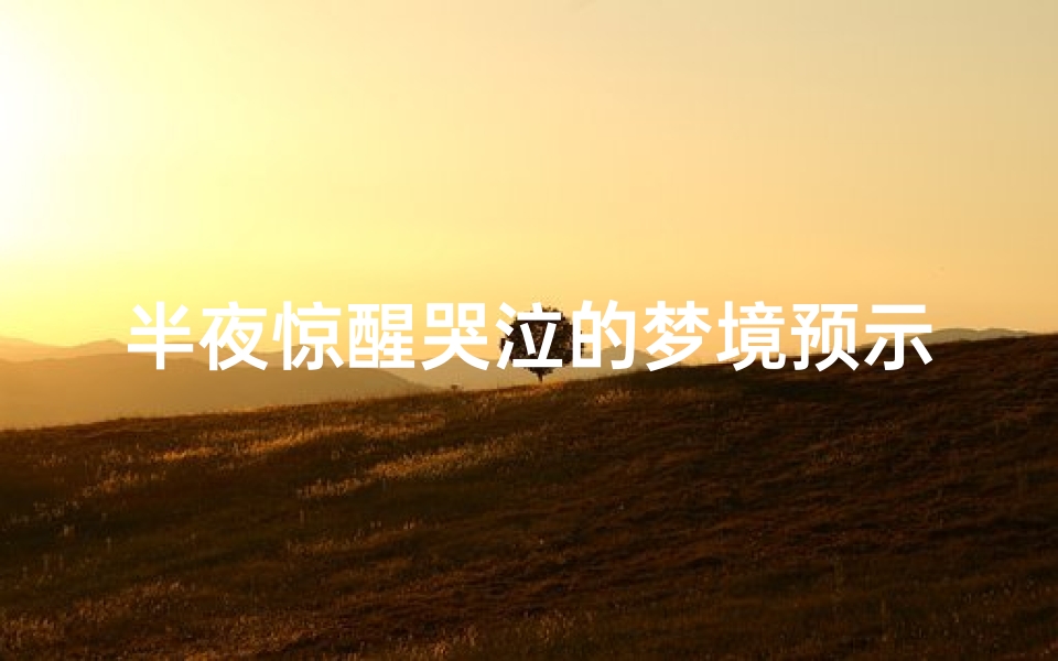 半夜惊醒哭泣的梦境预示,传统解梦与现代心理学的双重解读