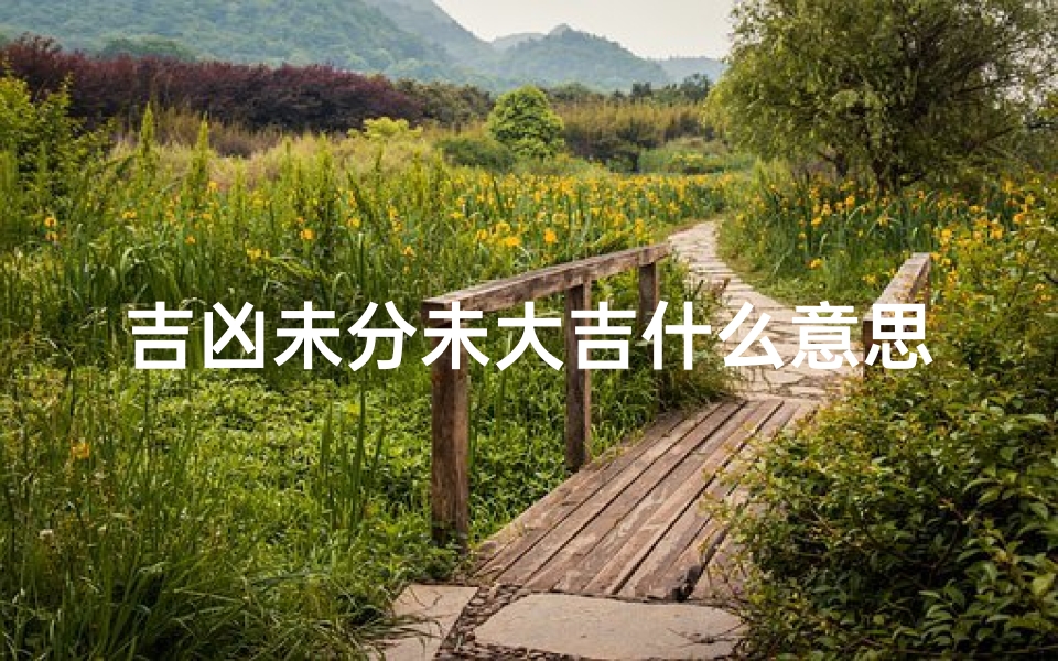 吉凶未分未大吉什么意思(吉凶未卜怎么读)-算卦网