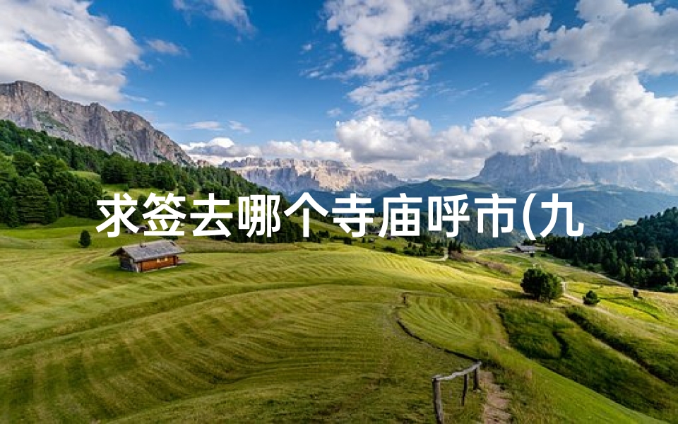 求签去哪个寺庙呼市(九华山求姻缘去哪个寺庙最,九华山求签最灵的寺庙)-算卦网