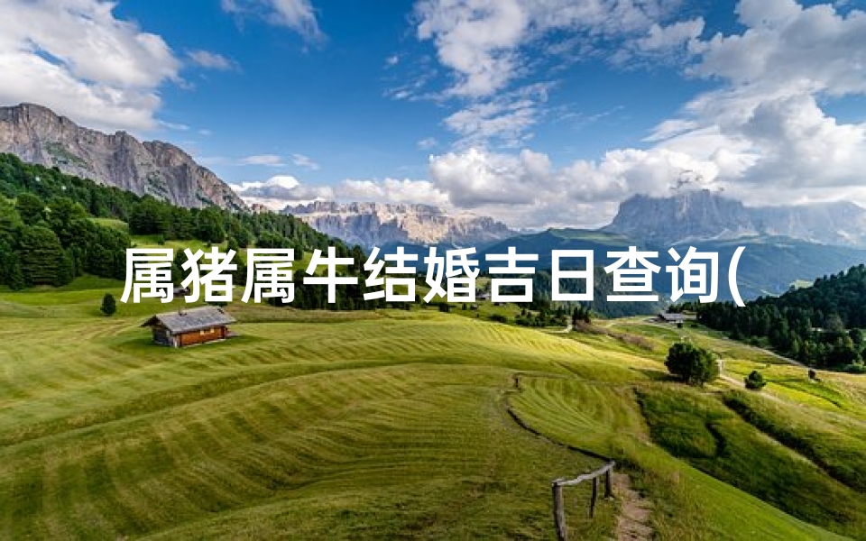 属猪属牛结婚吉日查询(求高人指点 属猪和属牛的最佳结婚时间是什么时候 )-算卦网