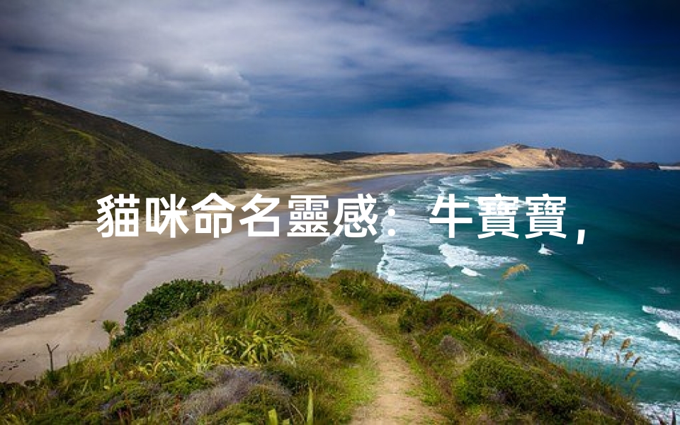 貓咪命名靈感:牛寶寶,寵物個性與主人情感的完美結合-算卦网