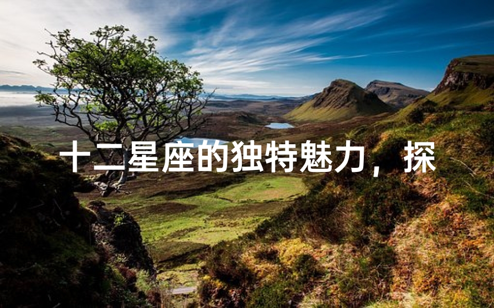十二星座的独特魅力,探索未知气味的星座奥秘-算卦网
