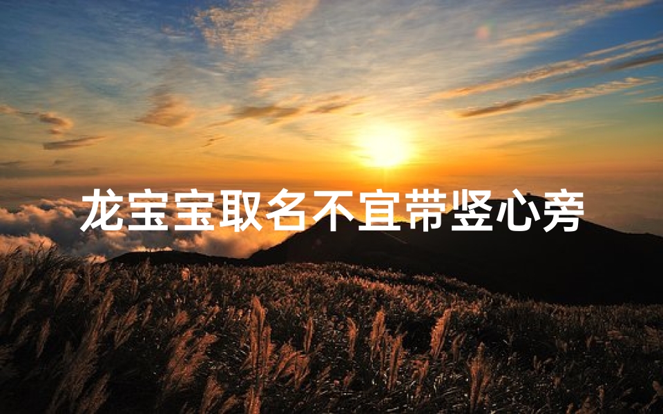 龙宝宝取名不宜带竖心旁的字吗-算卦网