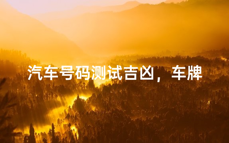汽车号码测试吉凶,车牌号码对运势的影响解析-算卦网