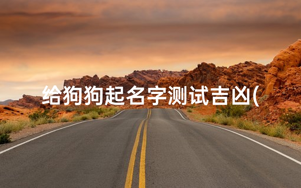 给狗狗起名字测试吉凶(宠物狗取名大全2025,给宠物狗起什么名字好 )-算卦网