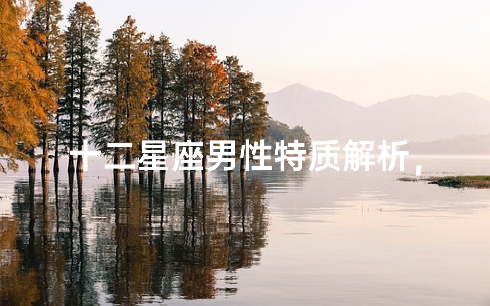 十二星座男性特质解析,揭秘星座男的爱情观与性格特点-算卦网