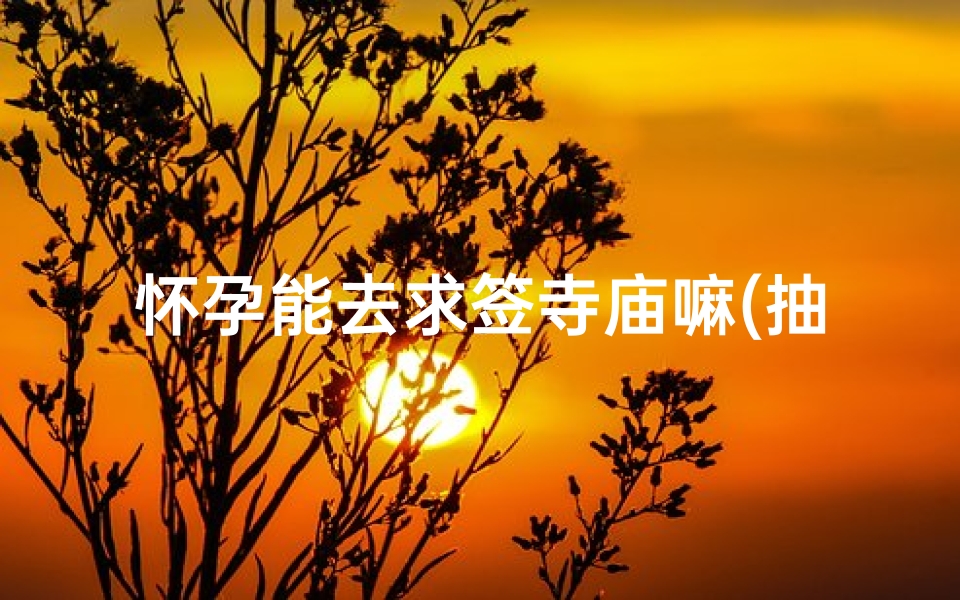 怀孕能去求签寺庙嘛(抽观音灵签问何时能有孩子)-算卦网