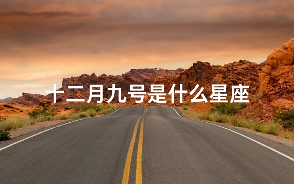 十二月九号是什么星座-算卦网