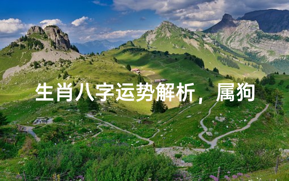 生肖八字运势解析,属狗人2024年运程详解-算卦网