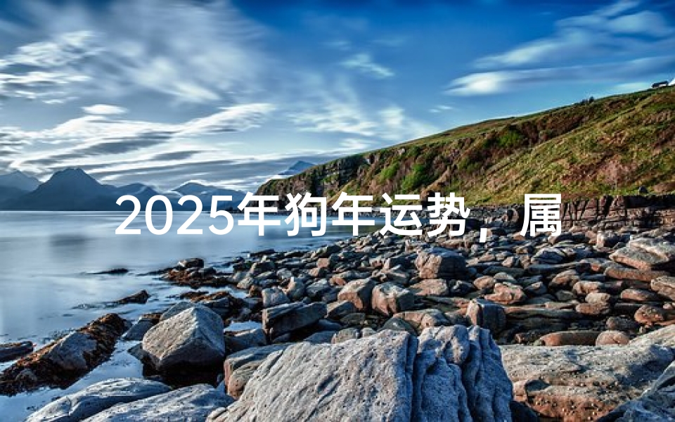 2025年狗年运势,属狗人2025年运程详解-算卦网