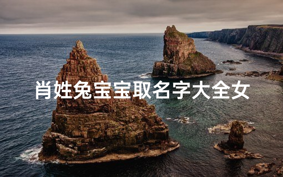 肖姓兔宝宝取名字大全女(肖姓女孩取名)-算卦网