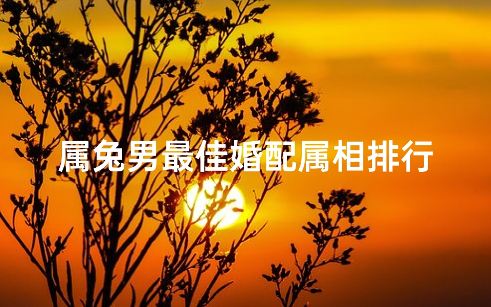 属兔男最佳婚配属相排行图片(属兔男的和什么属相最配)-算卦网