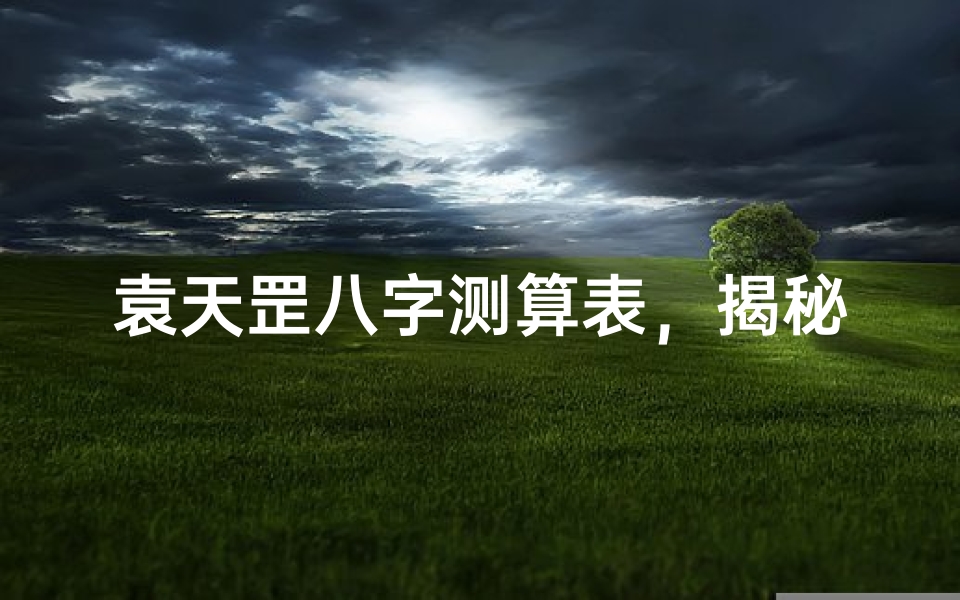 袁天罡八字测算表,揭秘命理玄机的古老智慧-算卦网