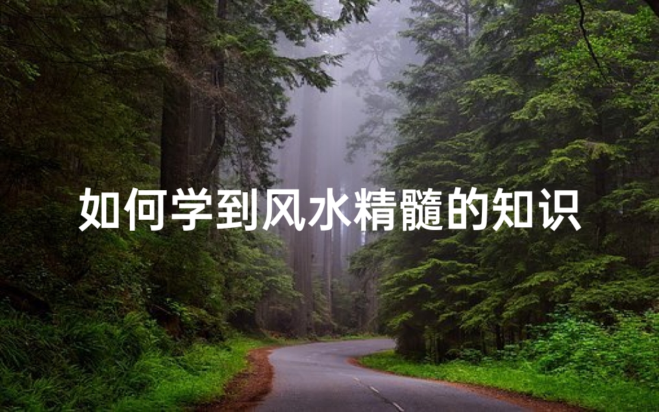 如何学到风水精髓的知识(自学看风水怎么学)-算卦网