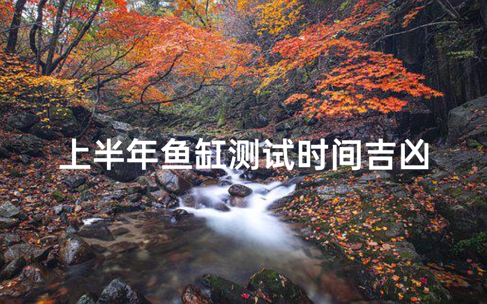 上半年鱼缸测试时间吉凶(鱼缸风水有讲究养鱼条数同样有说法)-算卦网