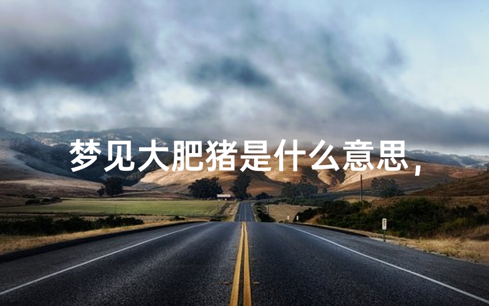 梦见大肥猪是什么意思,周公解梦揭示财运与福气-算卦网