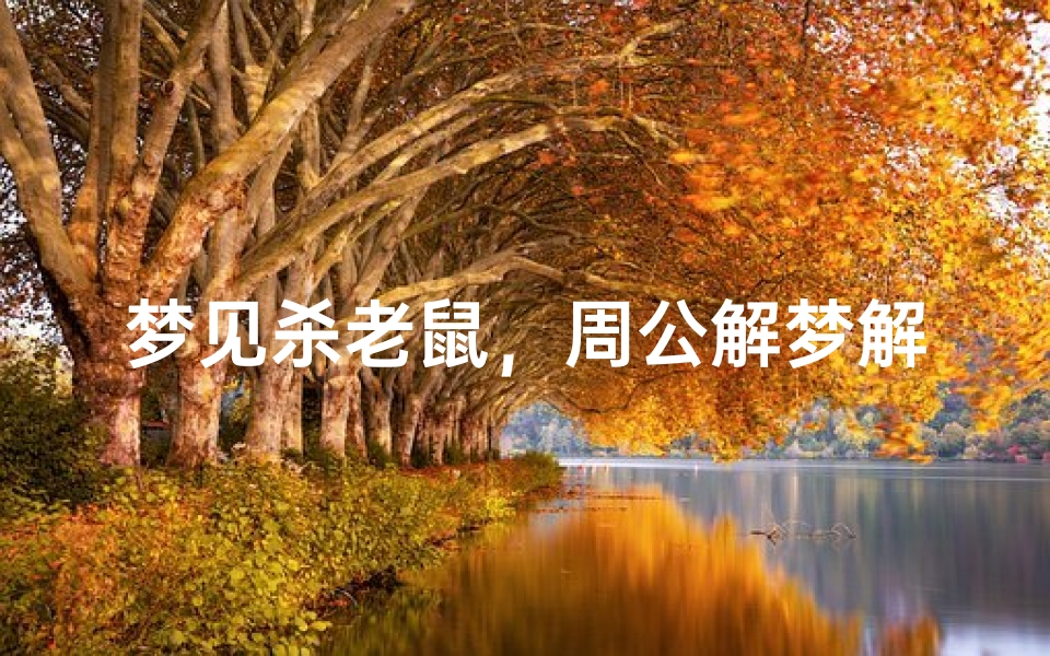 梦见杀老鼠,周公解梦解析其深层含义-算卦网