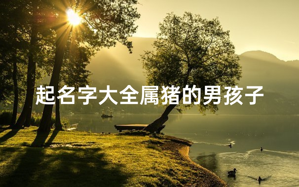 起名字大全属猪的男孩子(属猪男宝宝名字大全)-算卦网