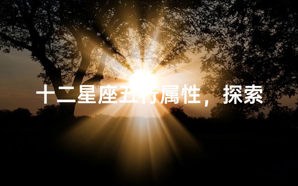 十二星座五行属性,探索星座与五行的神秘联系-算卦网