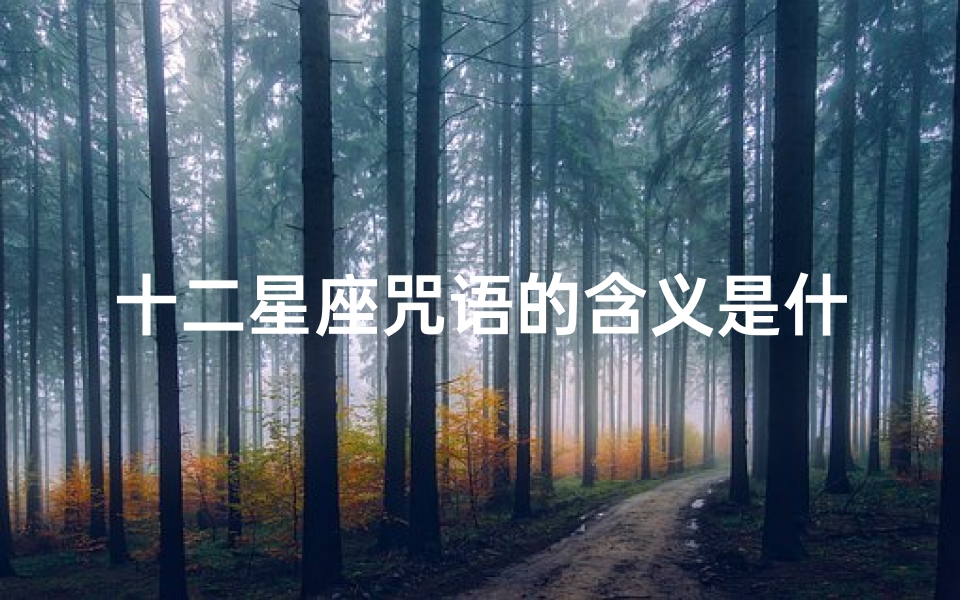 十二星座咒语的含义是什么(十二星座代表的仙女咒语)-算卦网