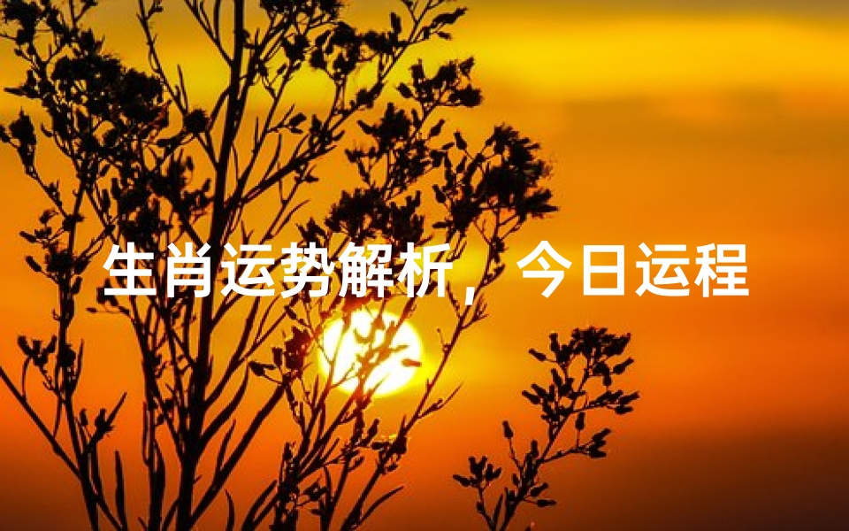 生肖运势解析,今日运程与明日运势全揭秘-算卦网
